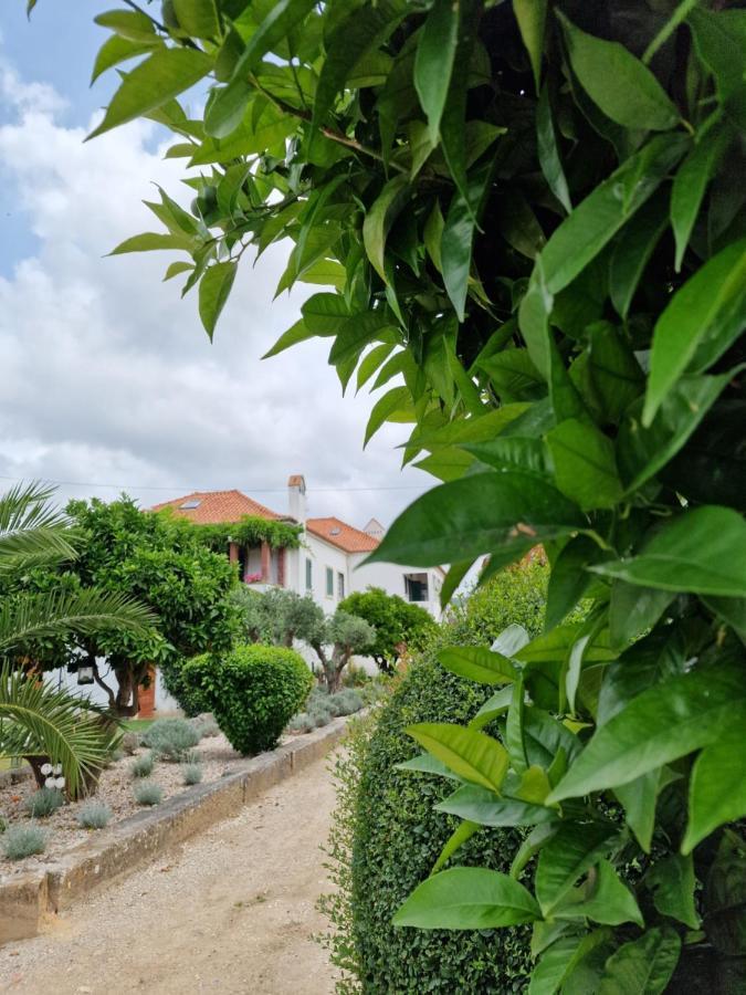 Casa Nikana Turcifal Esterno foto