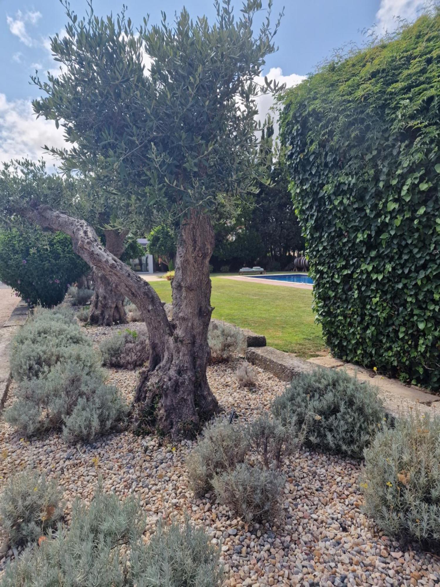 Casa Nikana Turcifal Esterno foto